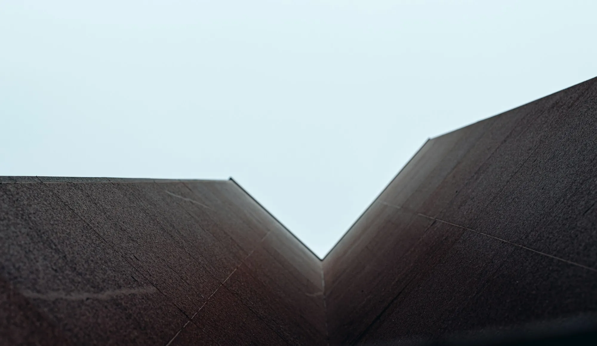 Two dark shingle roof planes meeting against a pale sky